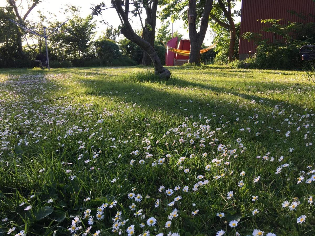 B & B Langagergaard Thisted Esterno foto